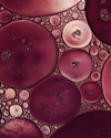 Microbiome & Digestive Support