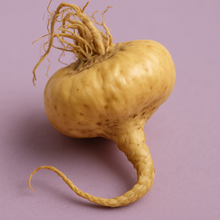 Maca 10:1 Extract