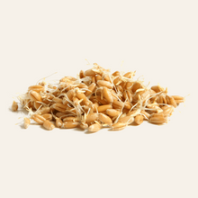 Spermidine
